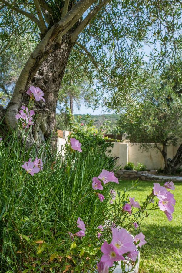 Corfu Villa Linea Línia Dış mekan fotoğraf