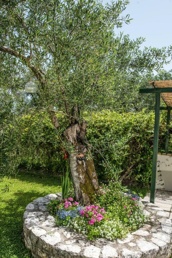 Corfu Villa Linea Línia Dış mekan fotoğraf